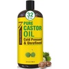 Castor