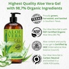image:imageSeven Minerals Aloe Vera Gel with Freshly Cut Pure Organic Aloe  1 Gallon  HighestQuality Texas grown Vegan Unscented  For Face Skin Hair  Bulk DIY 128 Fl Oz16 Fl Oz Pack of 1