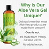 image:imageSeven Minerals Aloe Vera Gel with Freshly Cut Pure Organic Aloe  1 Gallon  HighestQuality Texas grown Vegan Unscented  For Face Skin Hair  Bulk DIY 128 Fl Oz12 Fl Oz Pack of 1